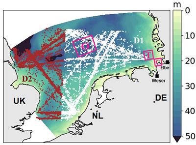 Less Nutrients but More Phytoplankton: Long-Term Ecosystem Dynamics of the Southern North Sea